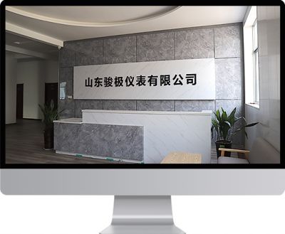 山东骏极仪表有限公司