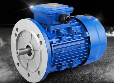 衡水猛牛电机股份有限公司