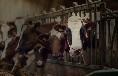 湖南裕华科技集团股份有限公司