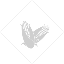 吉林市丰满区吉星和冷冻厂