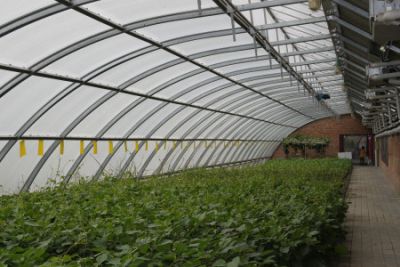 天津奇克斯农业科技有限公司