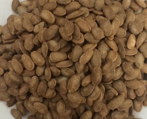 潜山县种质资源示范场