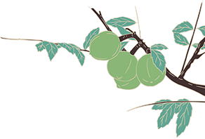 山东沃奇乡村振兴产业发展有限公司