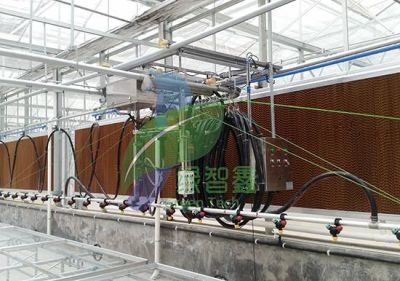 河北绿智鑫农业设备科技有限责任公司