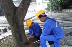 肇庆市中景清洁绿化服务有限公司