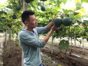 潜山市天宝农业开发有限公司