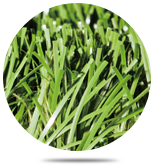 绿城体育集团股份有限公司