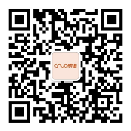 深圳成诺电子有限公司