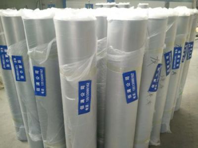 安平县佰满丝网制品有限公司