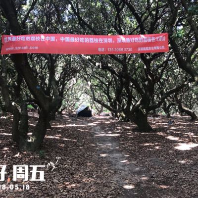 深圳南荔农业果场