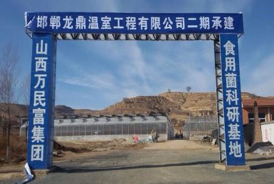 邯郸市丛台龙鼎温室工程有限公司