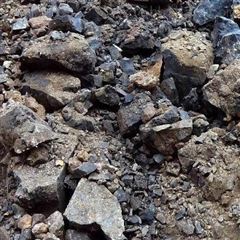 华检检测技术服务（广州）有限公司