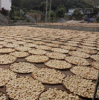 江门市新会区柑鲜味陈皮茶业有限公司