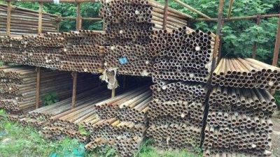 项城市栋梁建筑设备租赁服务有限公司