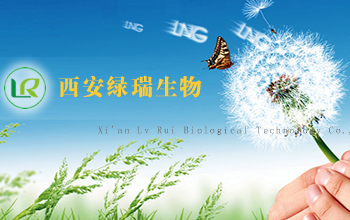 陕西佰亿网络工程有限公司