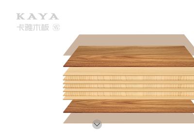 温州百代家居制造有限公司