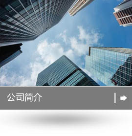 保定市防撞墙模板厂