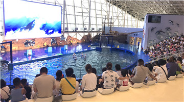 成都亚克力科技有限公司