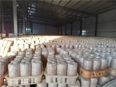 山东众成菌业有限公司