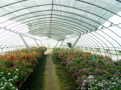 四川省兴佳缘农业科技有限公司