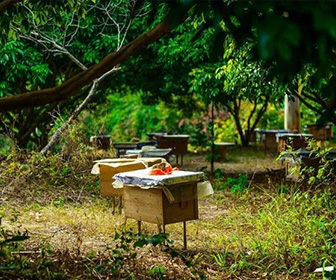 南宁市羽林电子商务有限公司