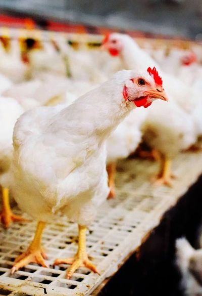 安徽万士生物制药有限公司