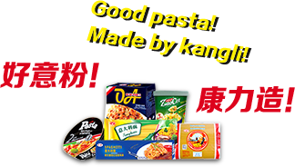 广东康力食品有限公司