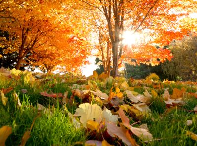 扬州斯维尔智能科技有限公司