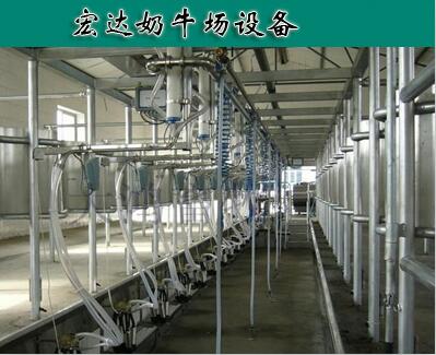 陕西宏达奶牛场