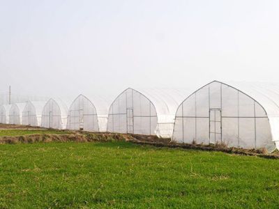 河南金之友农业科技有限公司