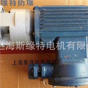 上海斯缘特电机有限公司