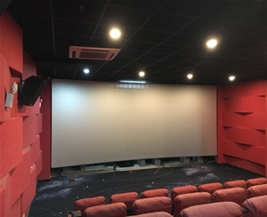 安徽影动巨星银幕有限公司