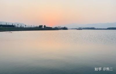 仙居县小胖杨梅合作社