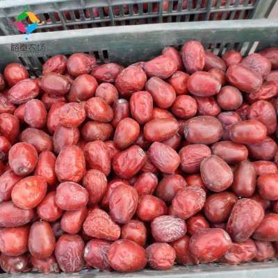 新疆裕奉高效农业开发有限公司