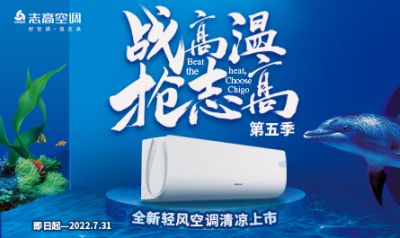 广东志高空调有限公司