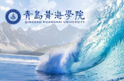 青岛新视点网络科技有限公司