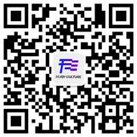 广州市飞樾文化传播有限公司