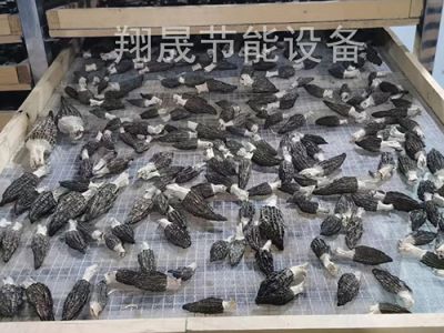 东莞市翔晟节能设备有限公司