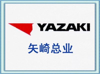 成都市康成电子有限责任公司