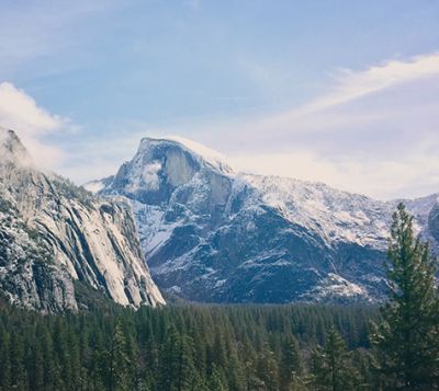 邹平金梧桐木业有限公司