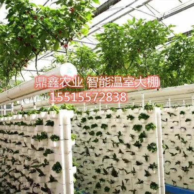 河南鼎鑫温室工程有限公司