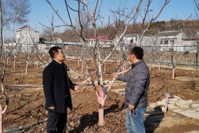 商洛盛大实业股份有限公司