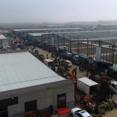 山东省耀佳苗木花卉市场有限公司