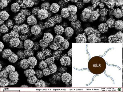 南京东纳生物科技有限公司