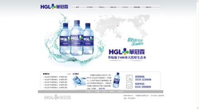 邢台市世联计算机服务有限公司