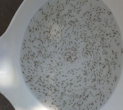 通大生物科技(福建)有限公司