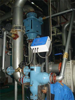 湖北天顺新能源有限公司