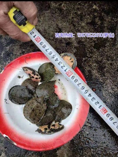 广西桂平宝权生态养殖场