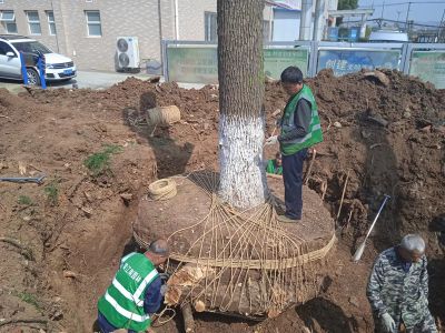 马鞍山美江南园林工程有限责任公司