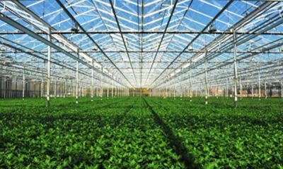 辽宁新泽温室科技发展有限公司